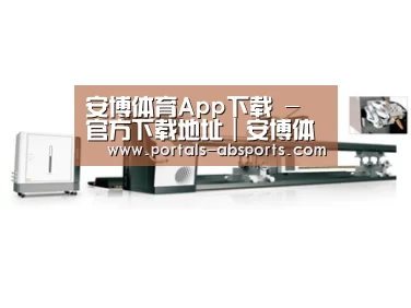 案例展示五