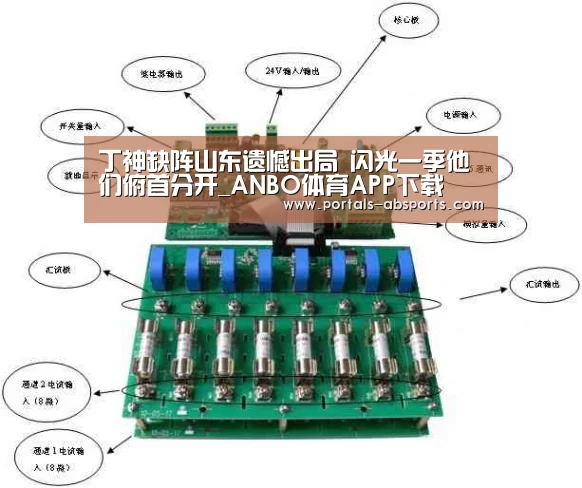 丁神缺阵山东遗憾出局 闪光一季他们俯首分开_ANBO体育APP下载
