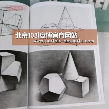 北京103|安博官方网站(图2) ANBO体育APP下载
