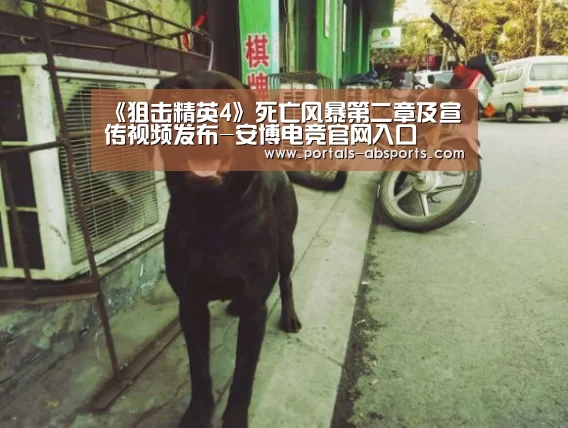 《狙击精英4》死亡风暴第二章及宣传视频发布-安博电竞官网入口(图4) 安博电竞官网入口